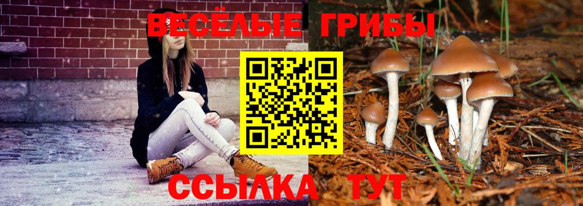 Галлюциногенные грибы прущие грибы Сызрань