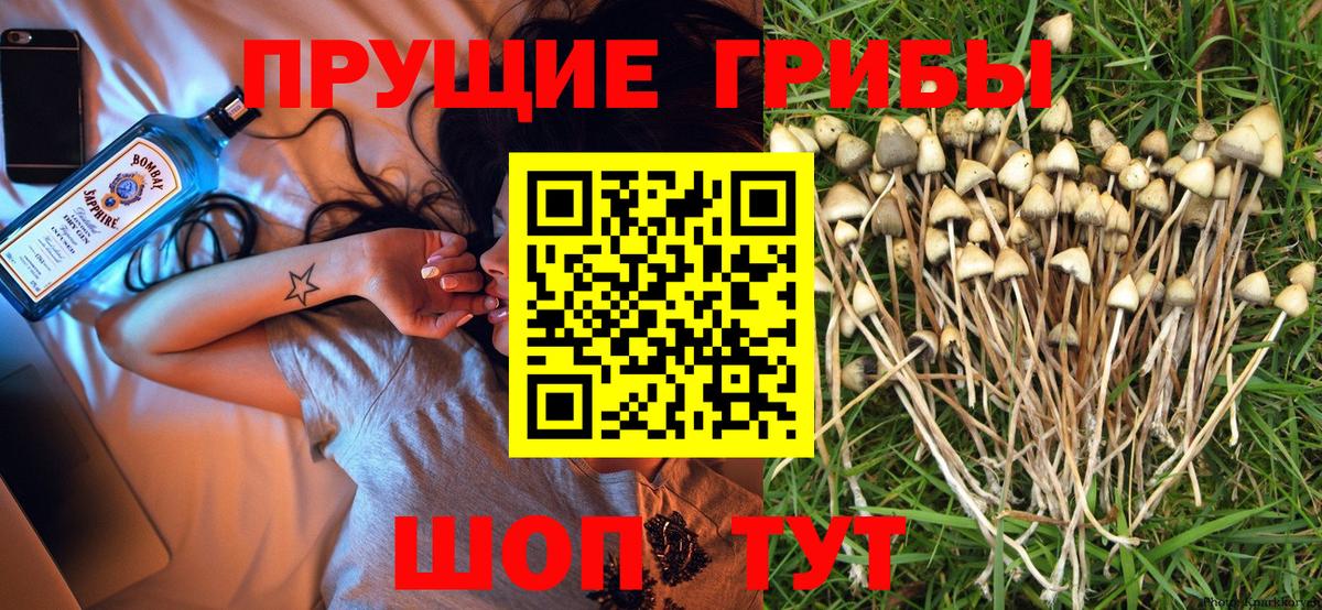 Псилоцибиновые грибы Magic Shrooms  Галлюциногенные грибы Magic Shrooms  Вход с VPN  Сызрань 